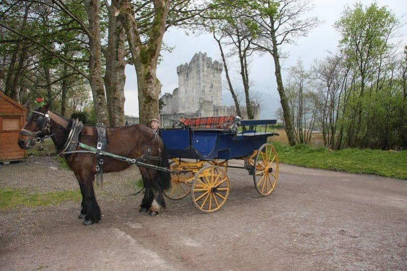 Lake Lodge Guesthouse Killarney Exterior foto